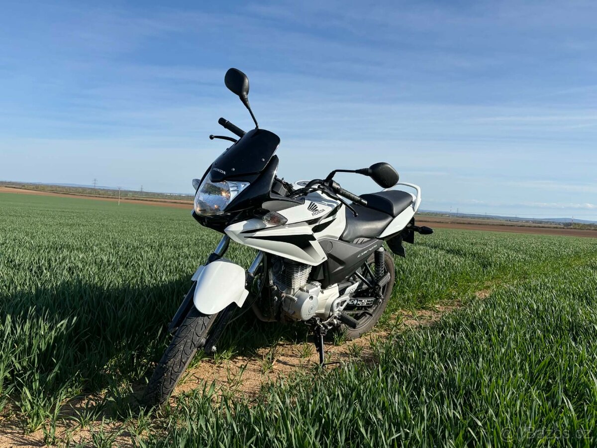 Honda CBF 125 - 3