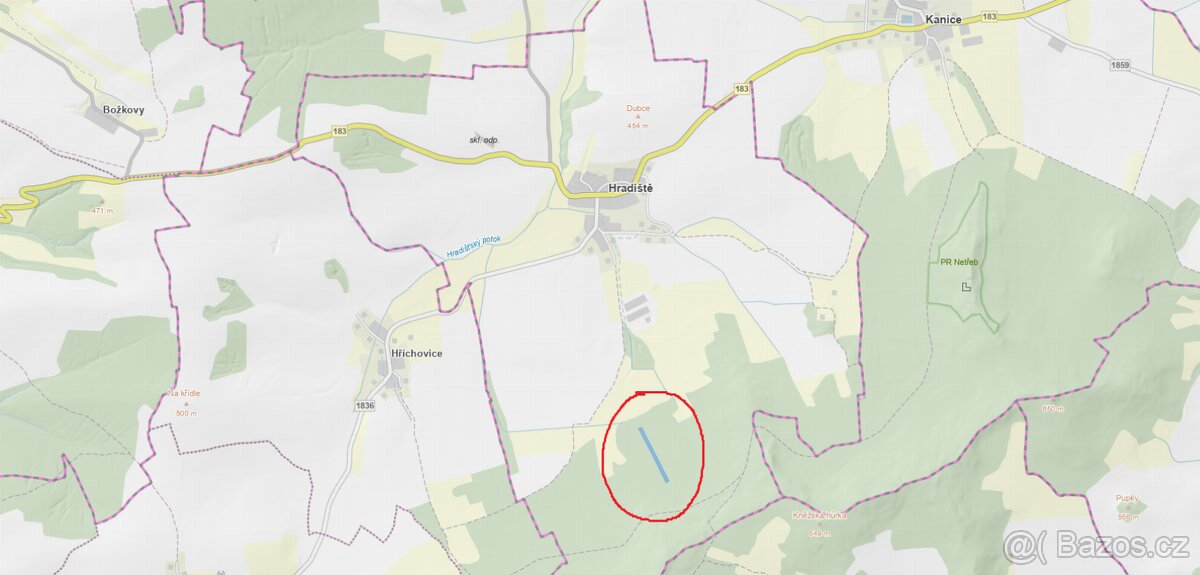 Prodám lesní pozemek v k.ú. Hradiště u Domažlic - 3