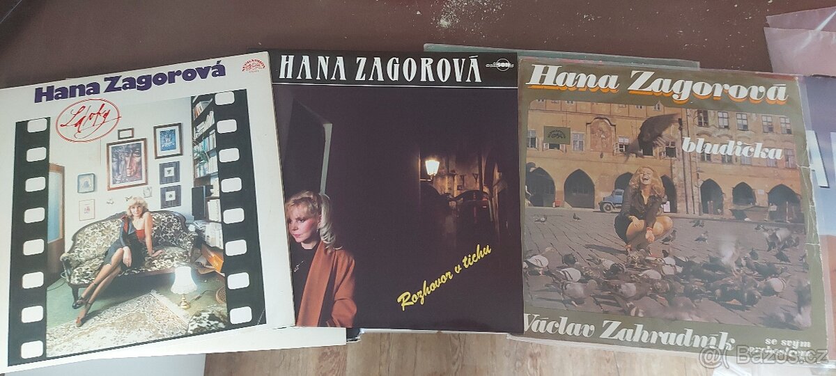 Zagorova: Bludicka - Rozhovor v tichu -3 x vinyl - 3