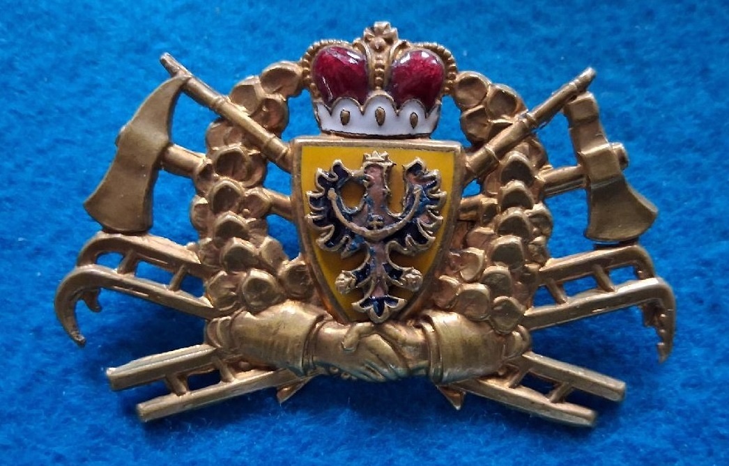 Hasičský odznak - 3