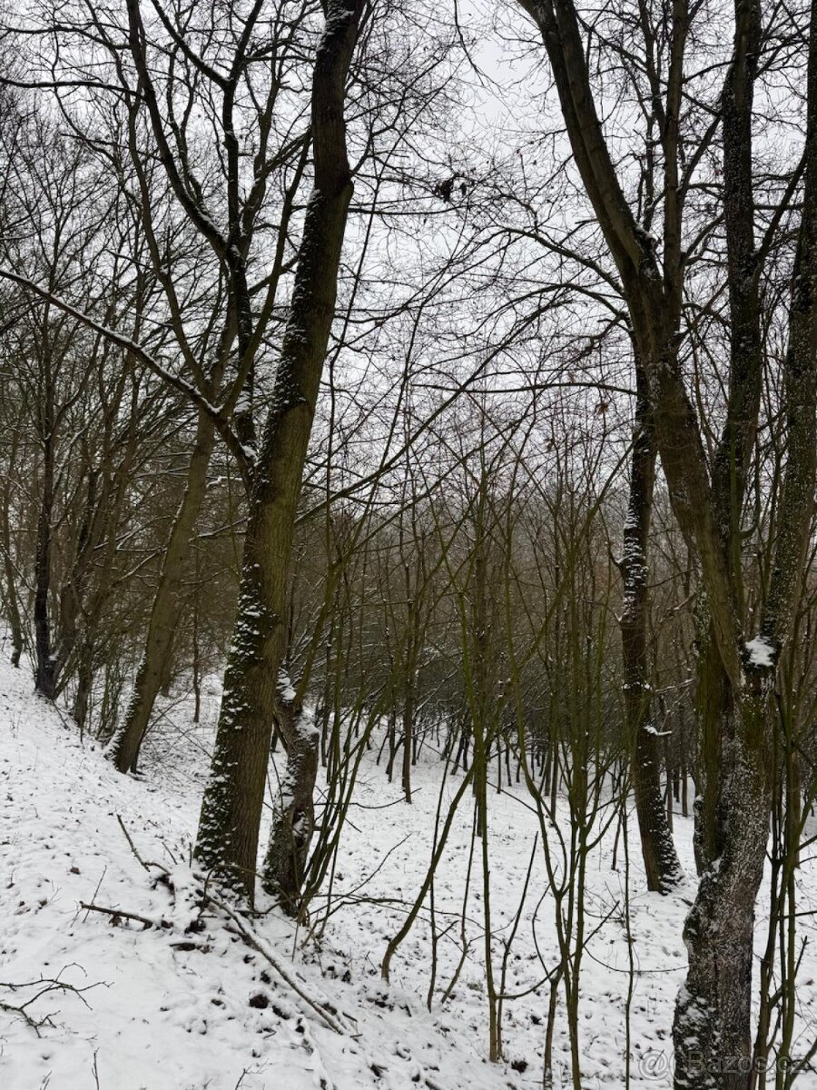 Prodej pozemků k.ú. Chotiměř + k.ú. Velemín - 3