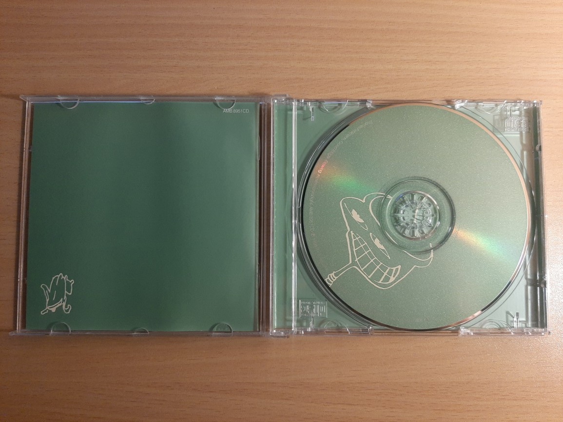 CD Thomas Fehlmann – Good Fridge. Flowing: Ninezeronineight. - 3