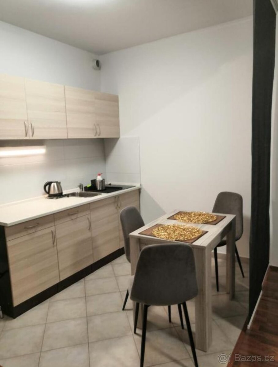 Pronajmu krásný byt 1kk v Berouně - 3