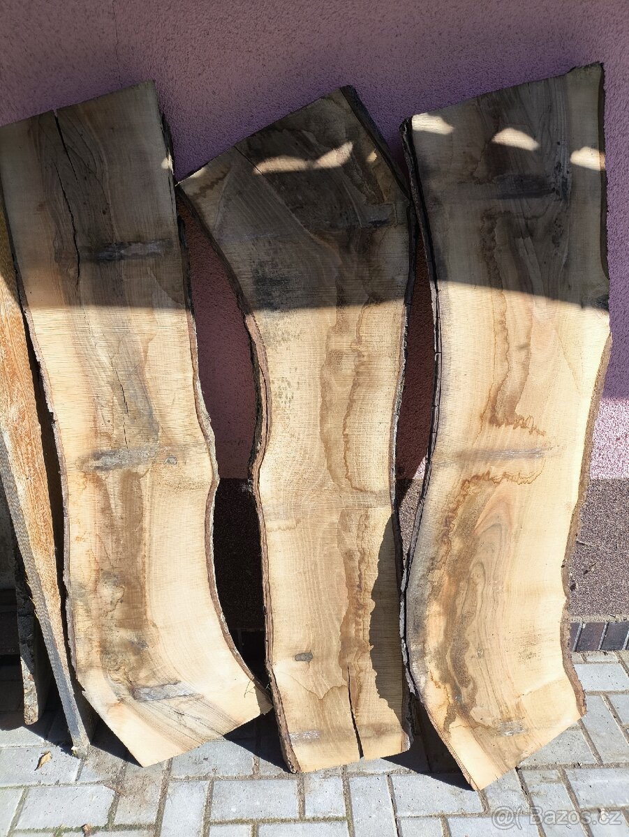 OŘECHOVÉ FOŠNY 55mm, různé délky a šířky. - 3