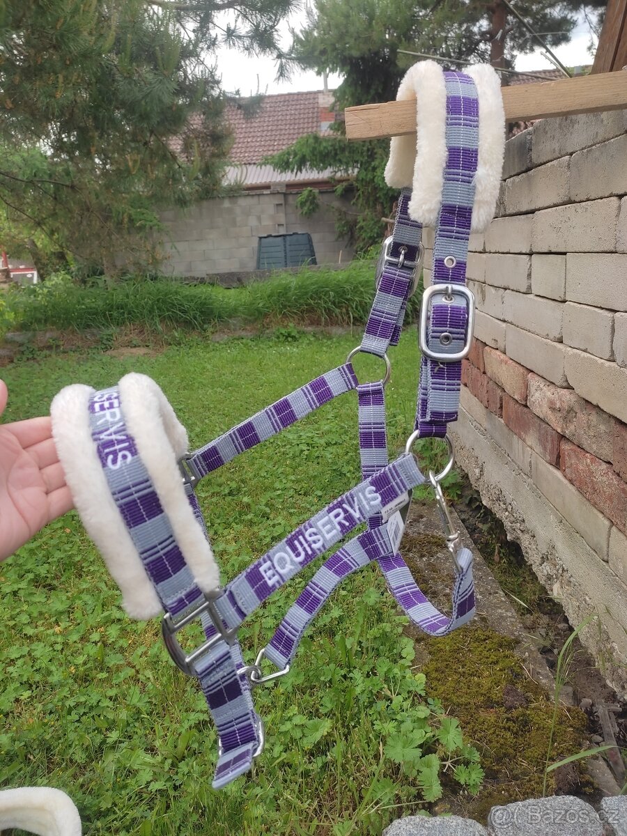 Fialové ohlávky s beránkem full a vodítko - 3