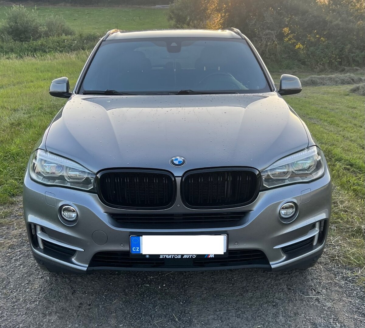 BMW f15 40d 2017 - 3
