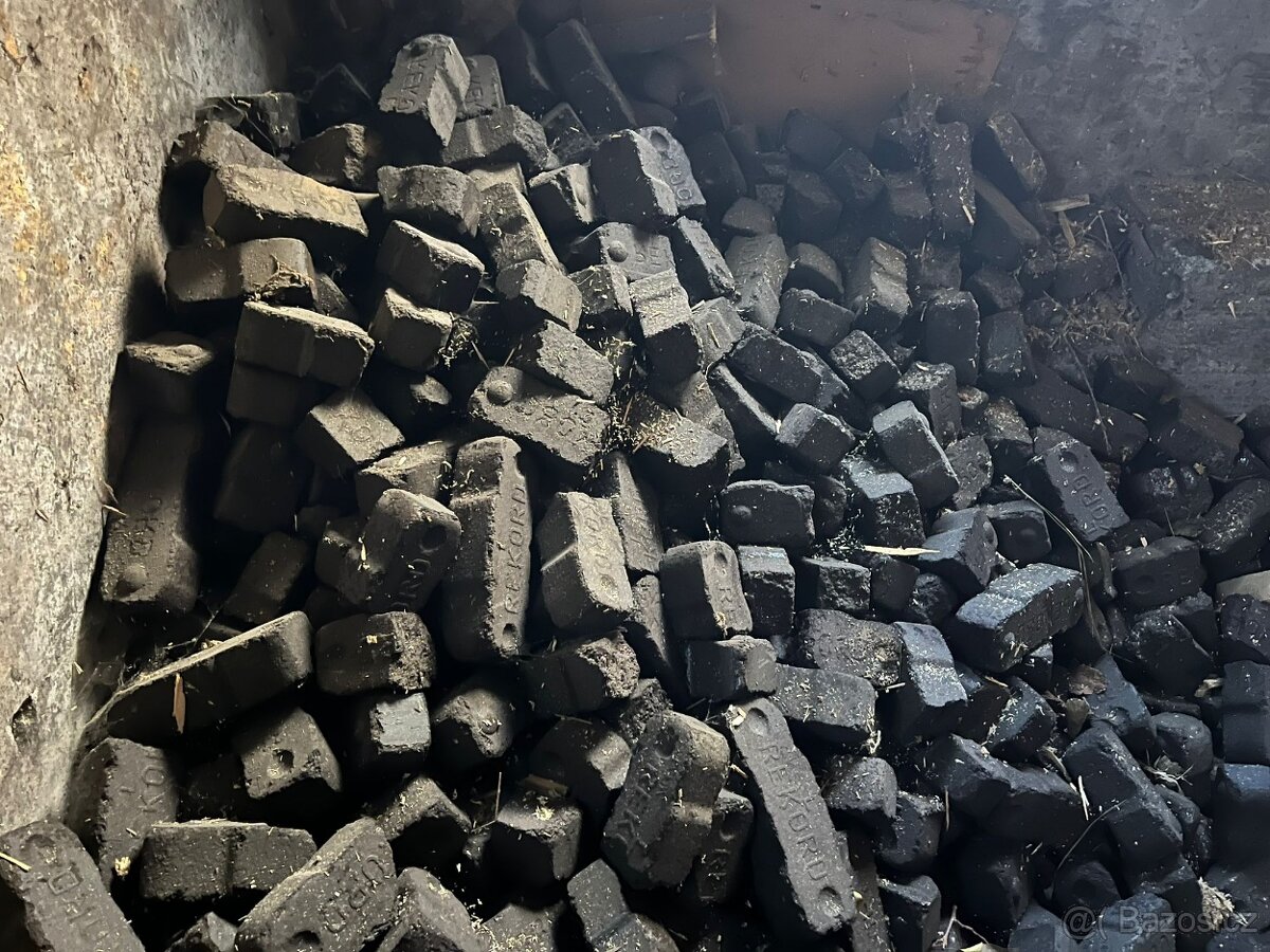 Uhelné brikety Rekord - 3