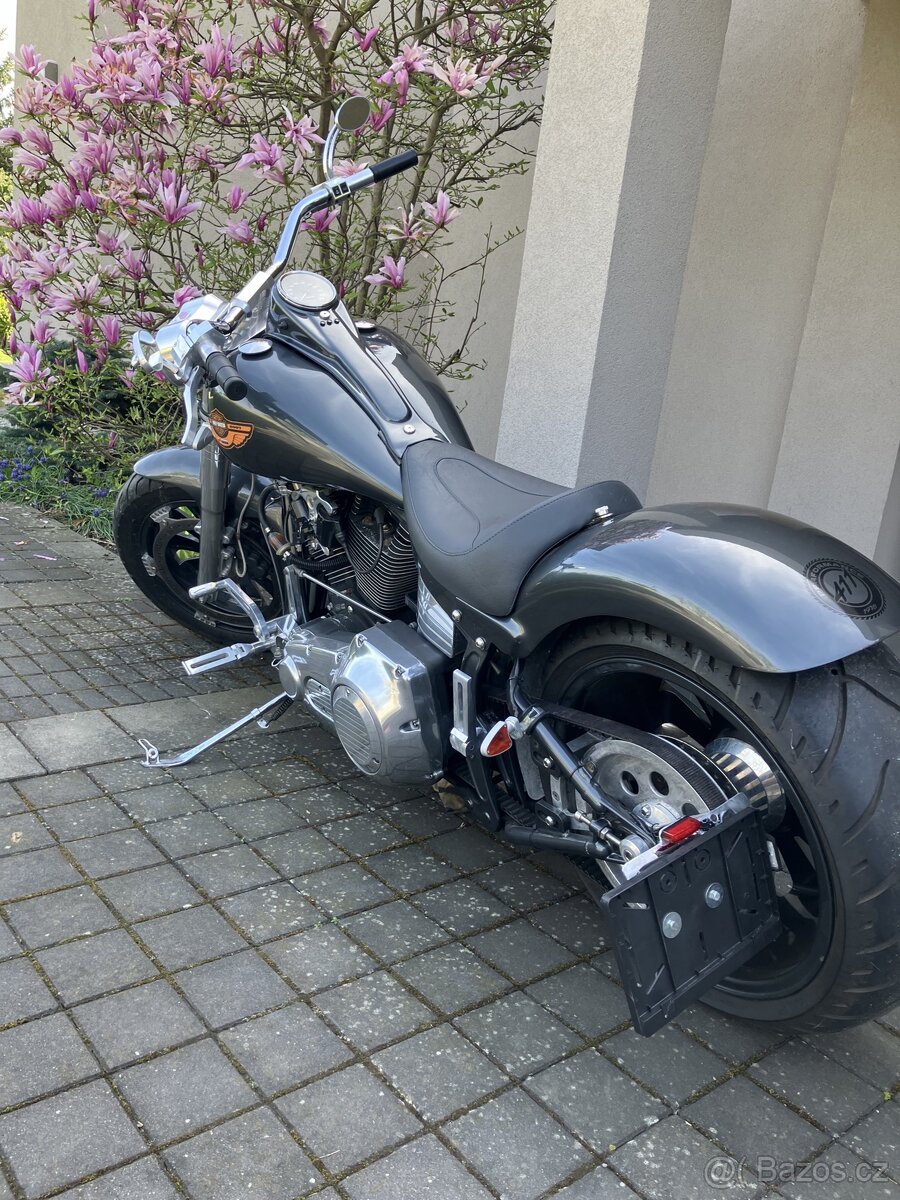 Harley-Davidson FLSTC - 3