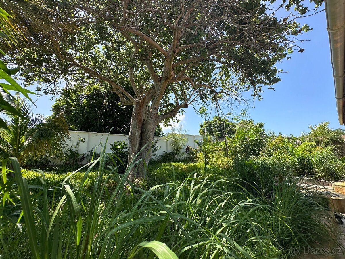 Prodám rodinný dům - 3