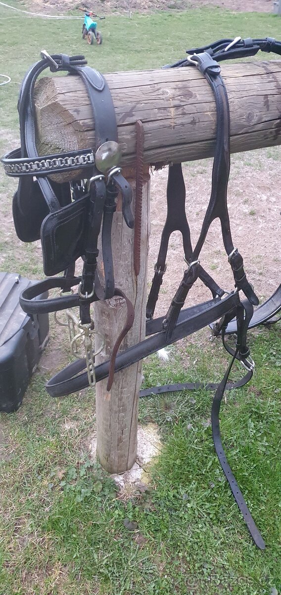 Poprsni koženy postroj full - 3