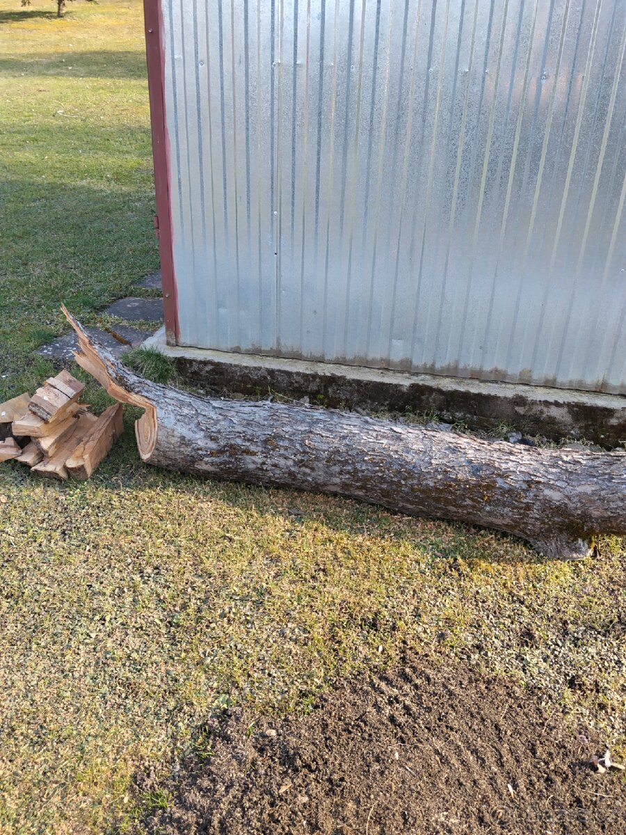 Prodej dřeva na uzení - 3