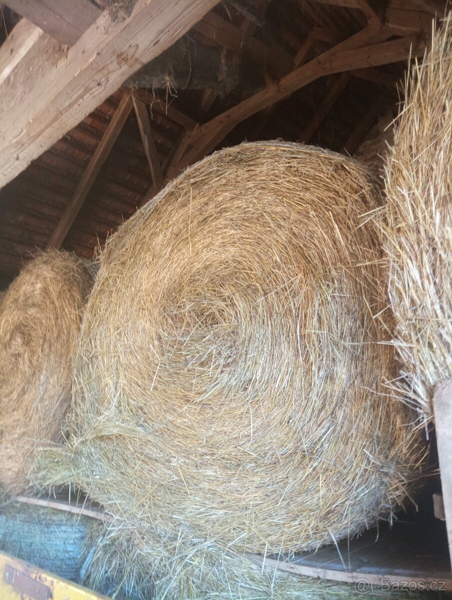 Prodám Balíky Sena - 3