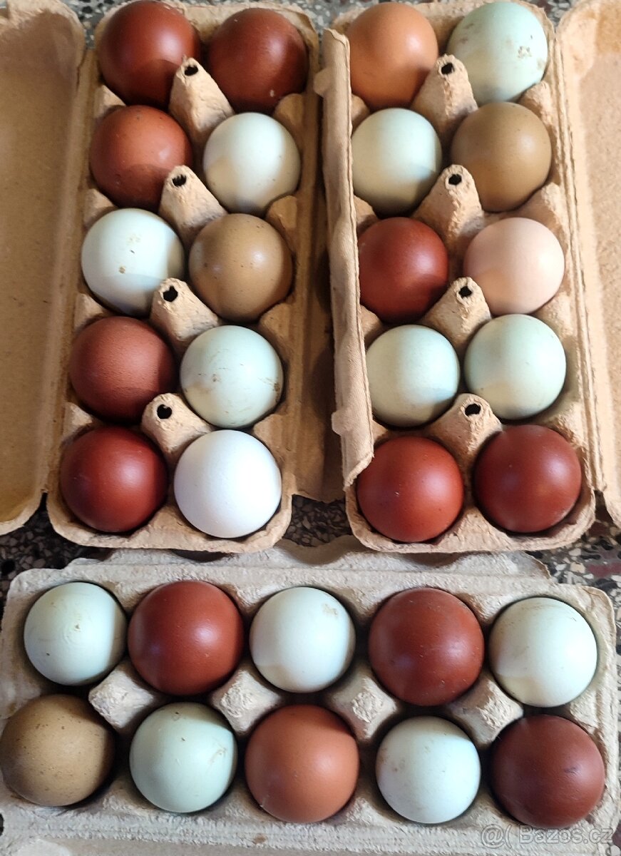 Násadové vejce. - 3