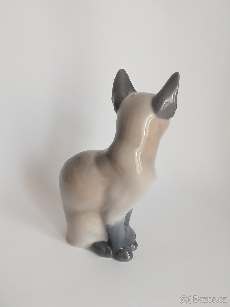 Královská Kodaň - siamská kočka - 3