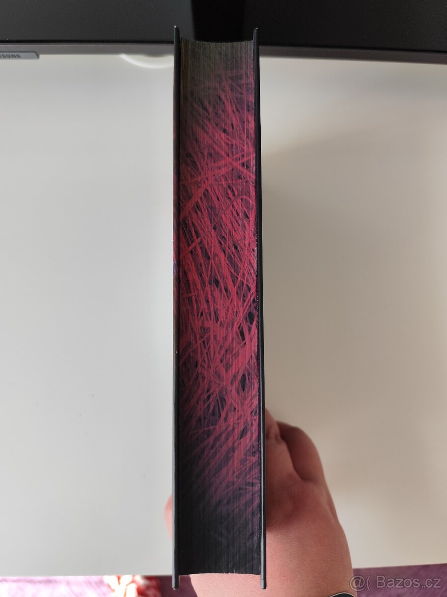 Pán loutek - Sam Holland - 3