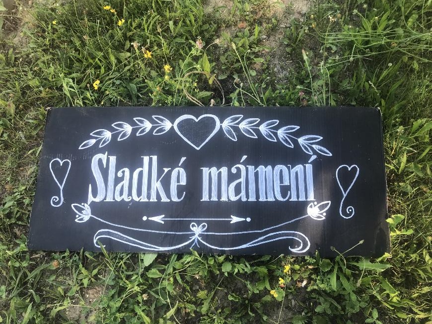 Svatební dekorace - přírodní svatba - 3