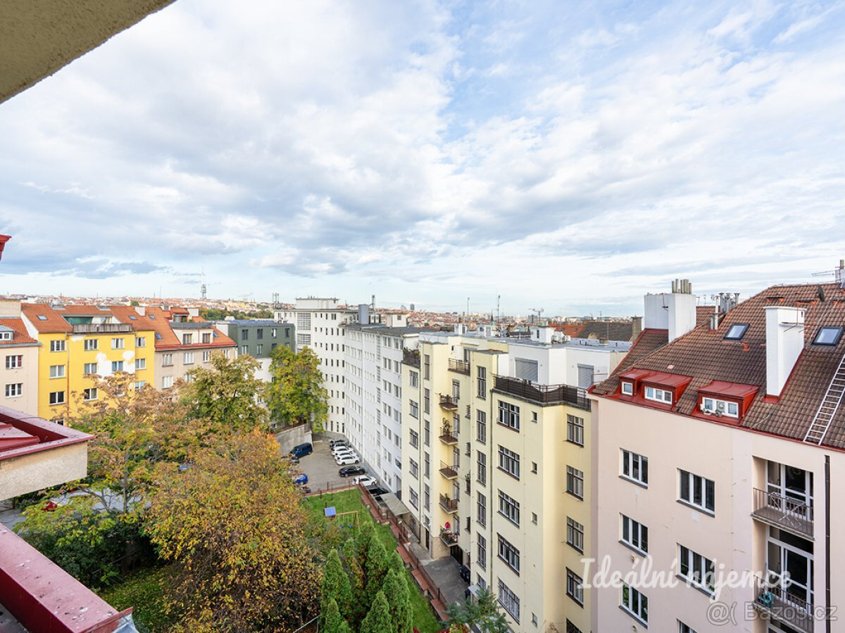 Pronájem bytu 1+kk, Petra Rezka, Nusle, 23 m2 - 3