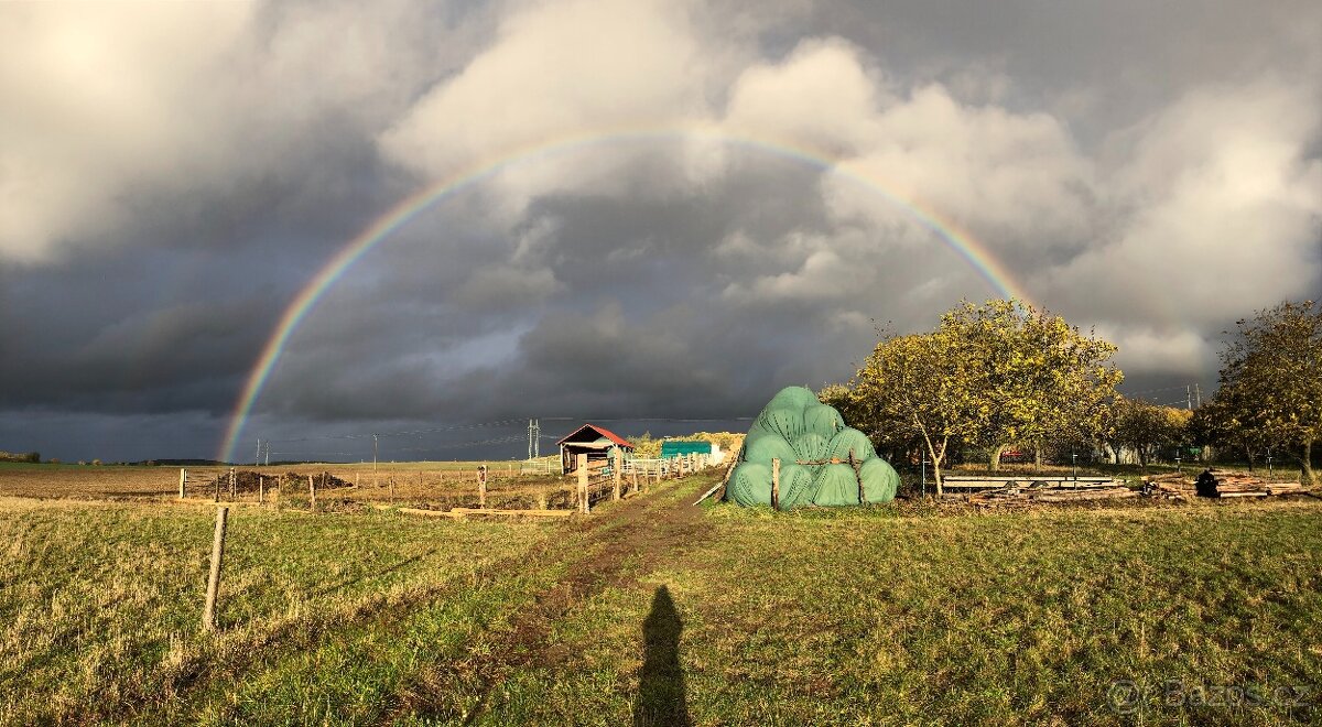 Seno, senáž, doprava - 3