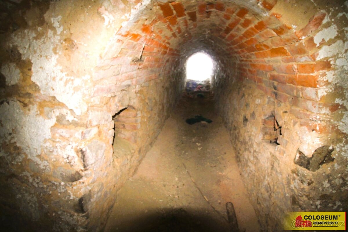 Litobratřice, komerce, vinný sklep, k rekonstrukci - vinný s - 3