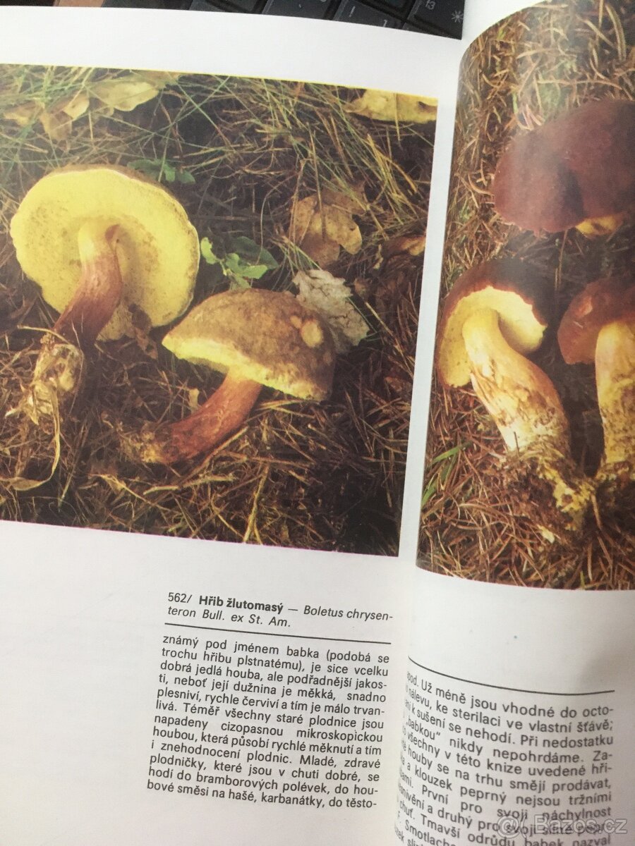 jihočeská houbařská kuchařka - 3