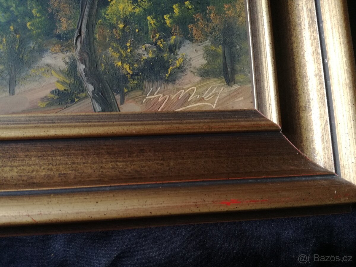 Maľovaný obraz, Pohľad na jazero, Hyrlik - 3