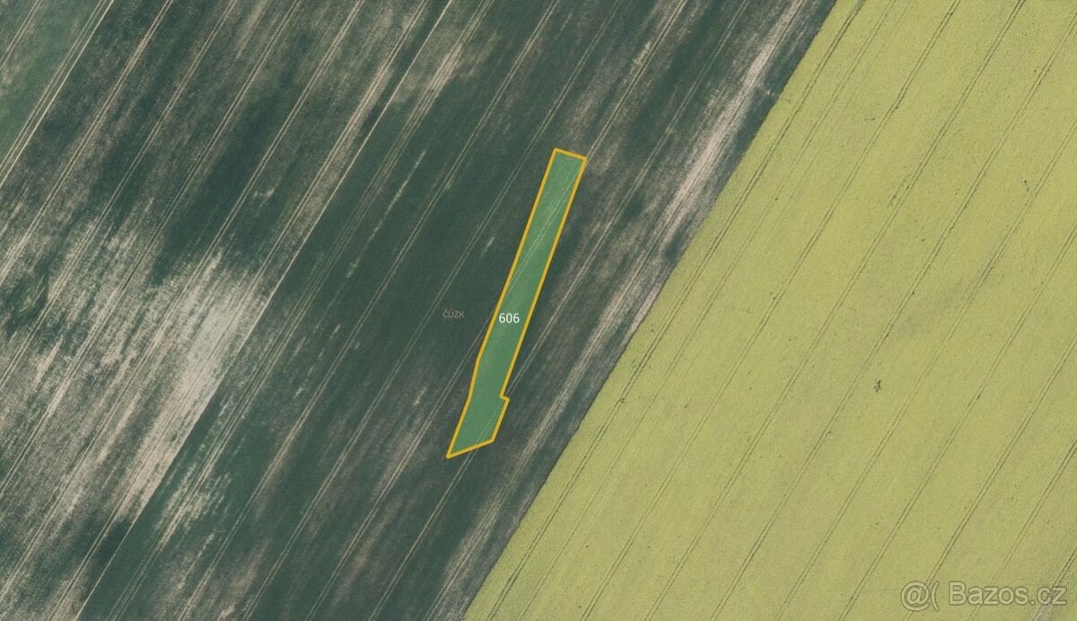 Zemědělská půda, prodej, Nové Vyklantice, Vyklantice, Pelhři - 3