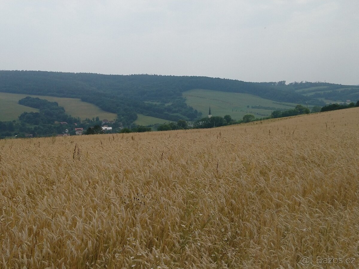 Pozemek Pitín pod plánovaným obchvatem - 3