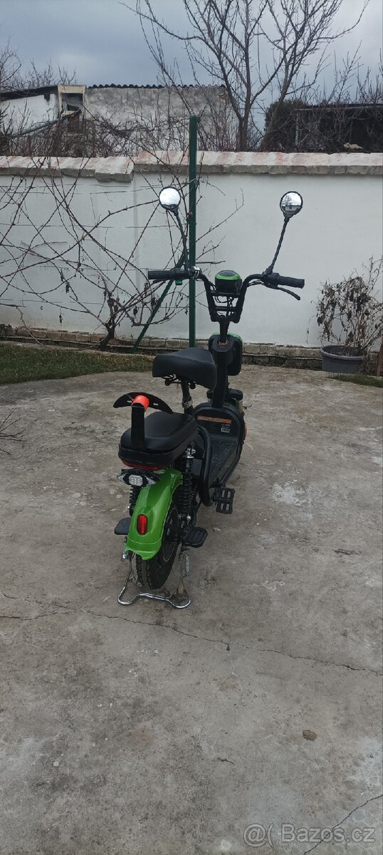 Sharks Eroute RS01 - 3