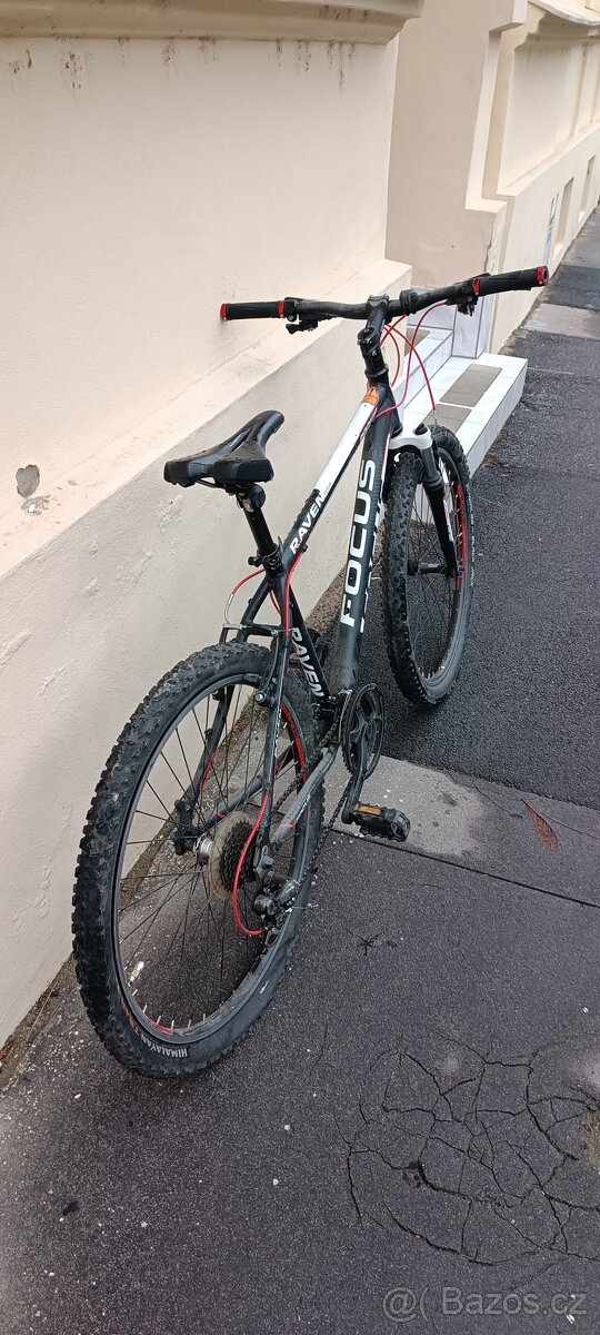 Focus raven rookie - 3