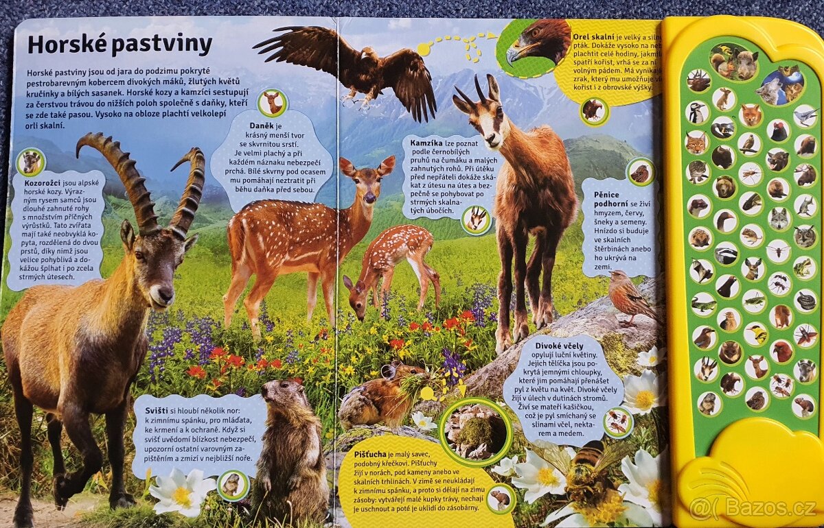 Kniha zviřat - 3