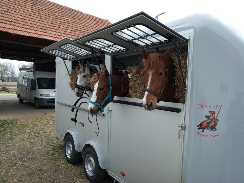 Přeprava až 4 koní po EU převoz - 3