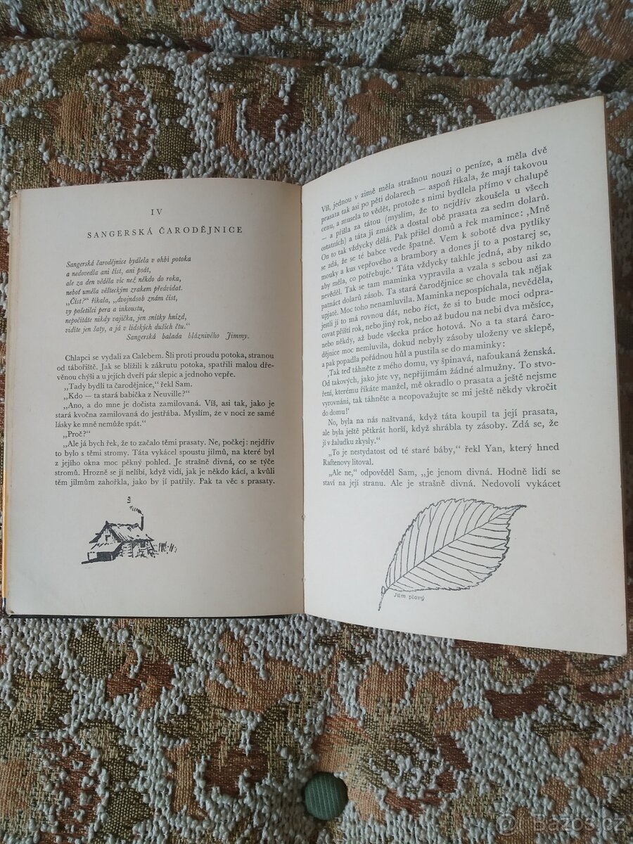 Prodám knihu Dva divoši - 3