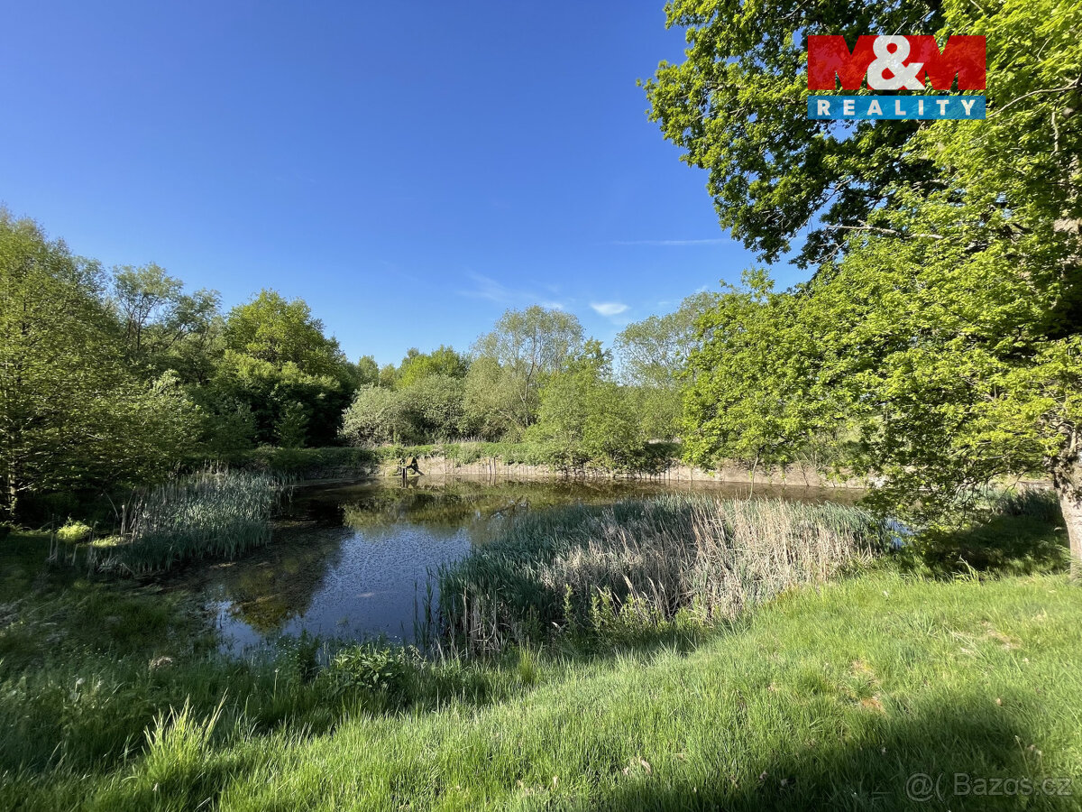 Prodej vodní plochy, 1618 m², Hrejkovice - 3