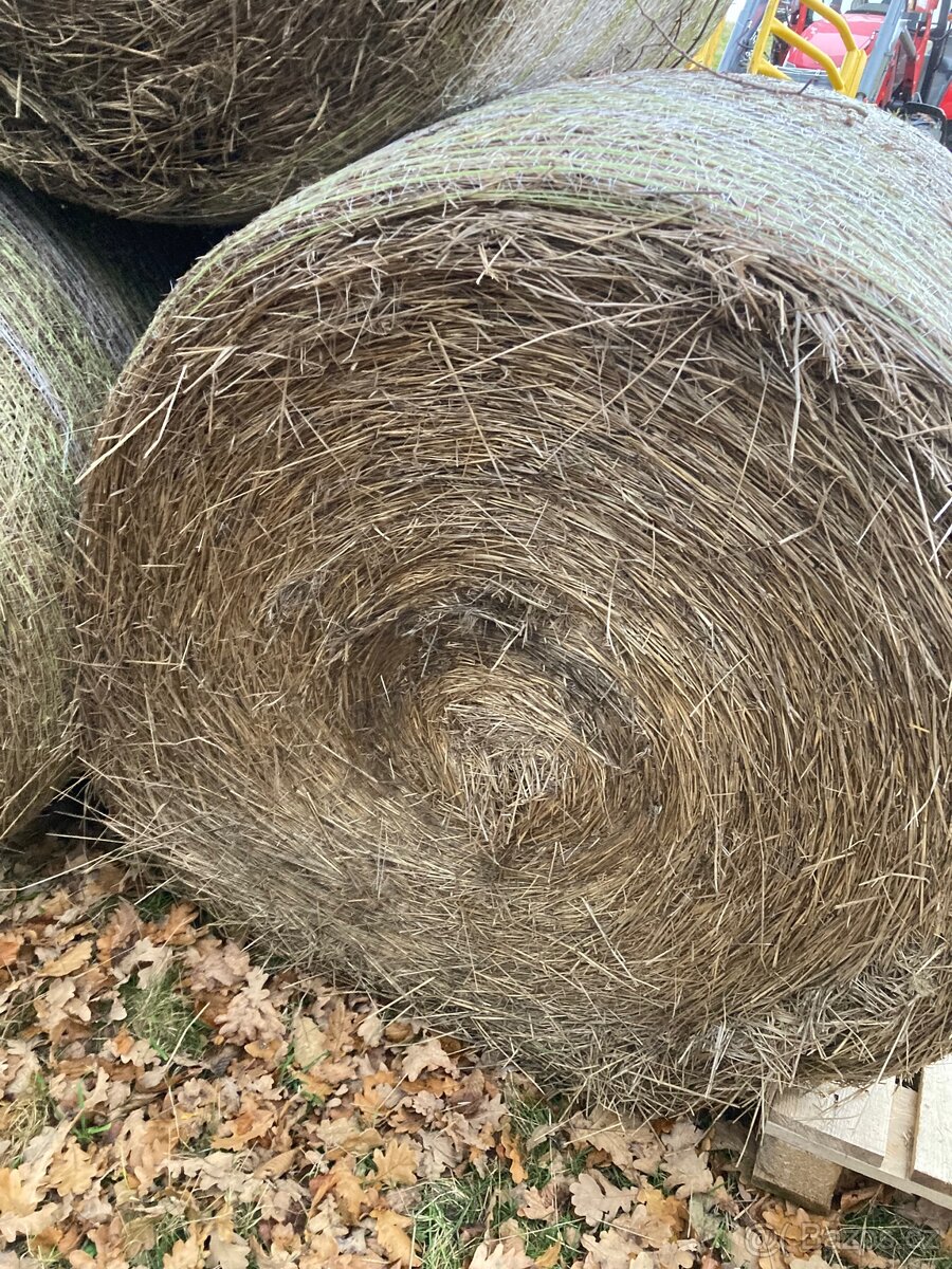 Seno na podestýlku - 3