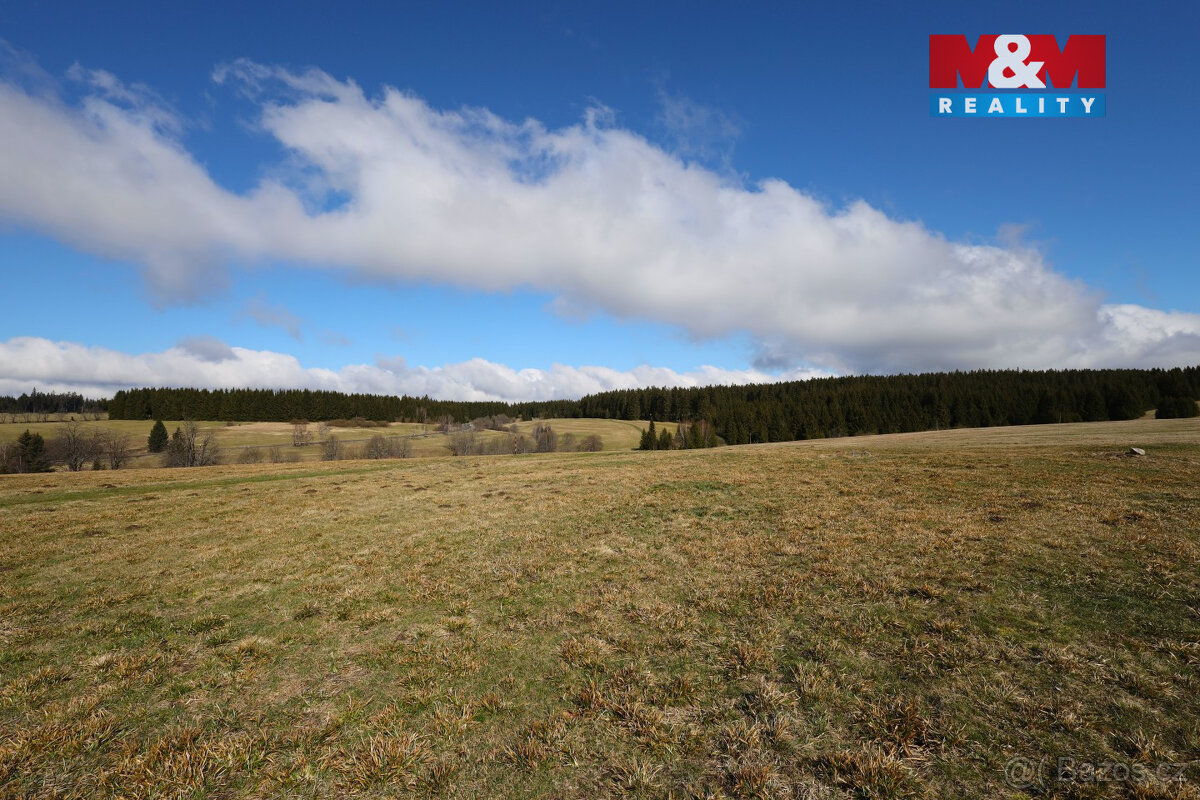 Prodej louky, 34345 m², Pernink - 3