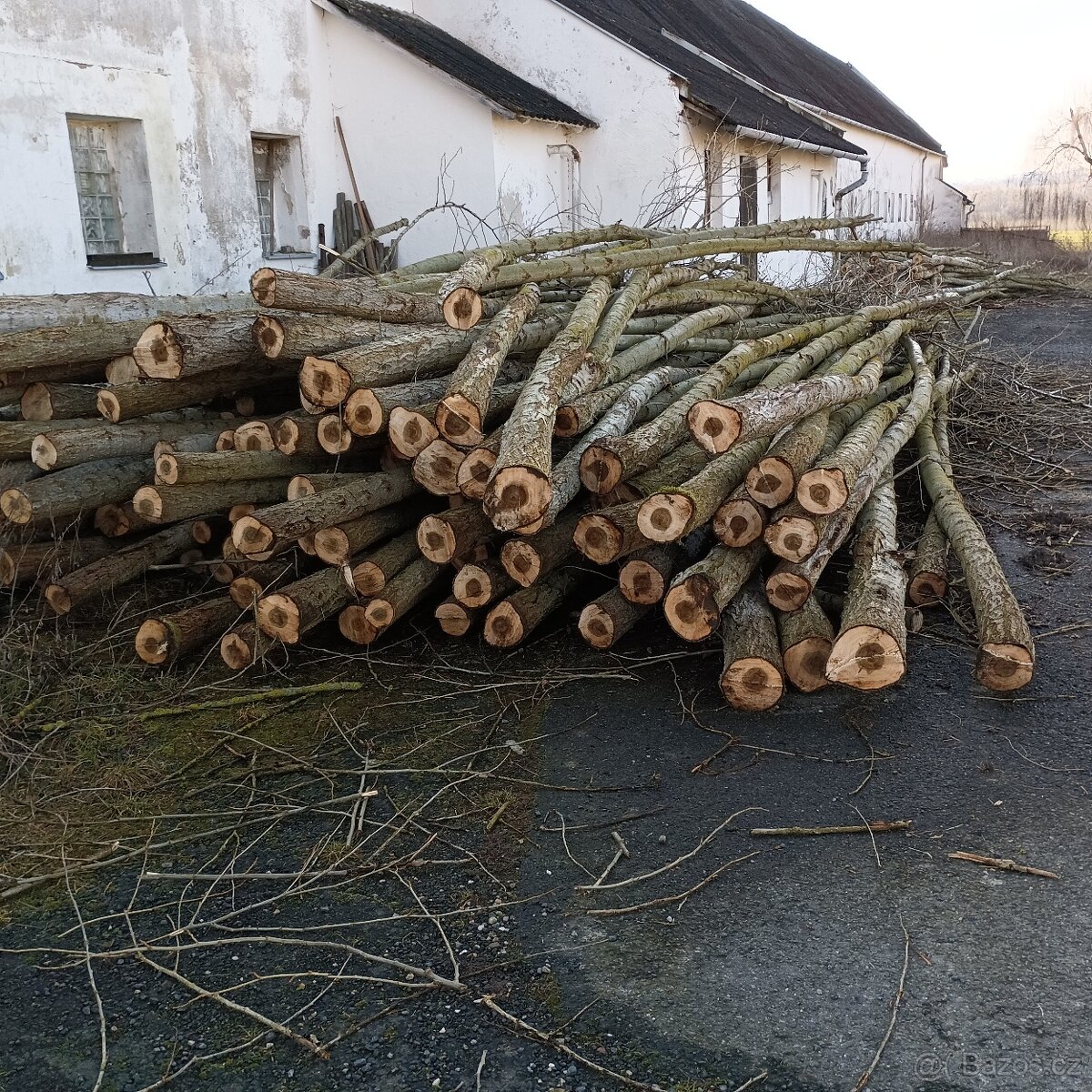 Palivove drevo - 3