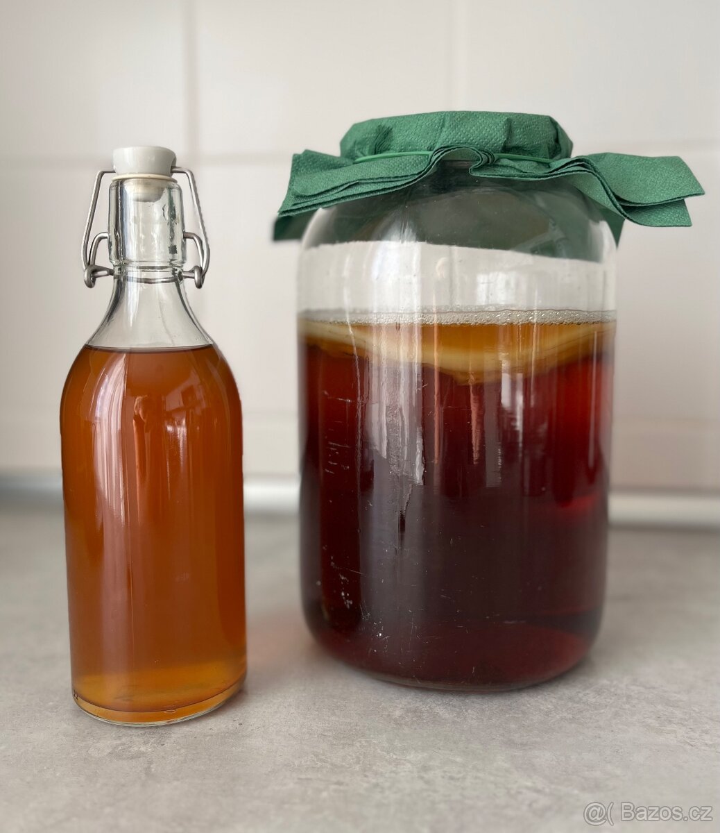 Kombucha násada i nápoj - 3