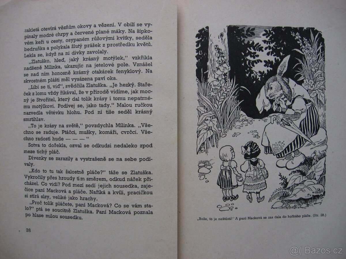 U hradeckých trpaslíčků - 3