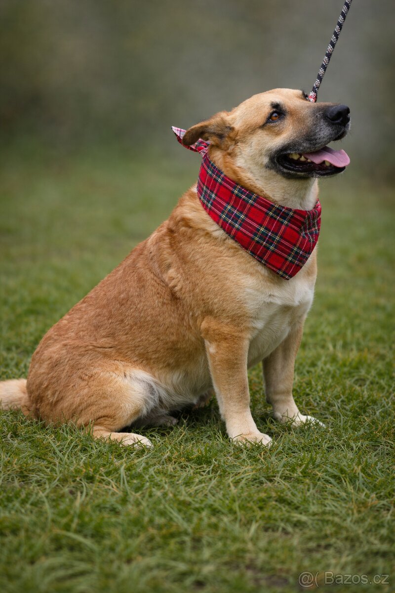 Odin hledá domov - 3