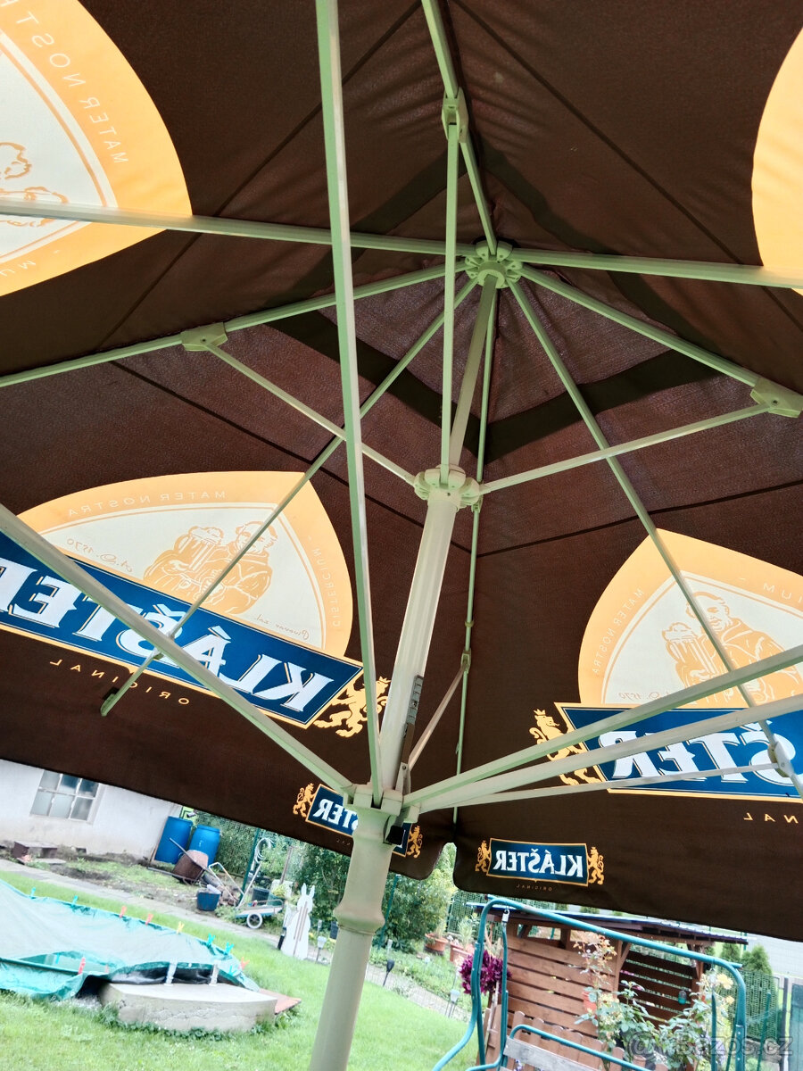 slunečník hospodský - 3