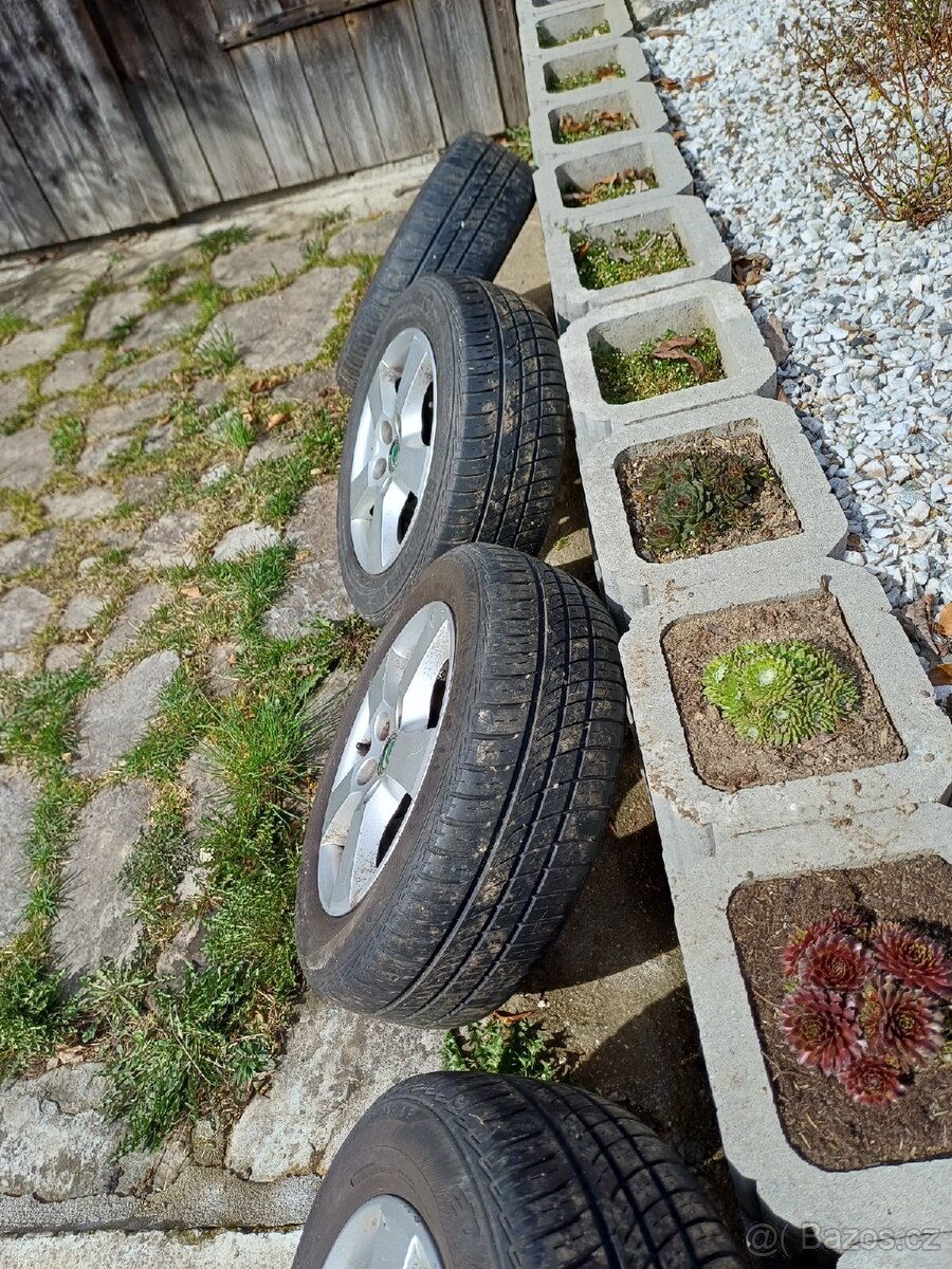 Letni pne na fabii - 3