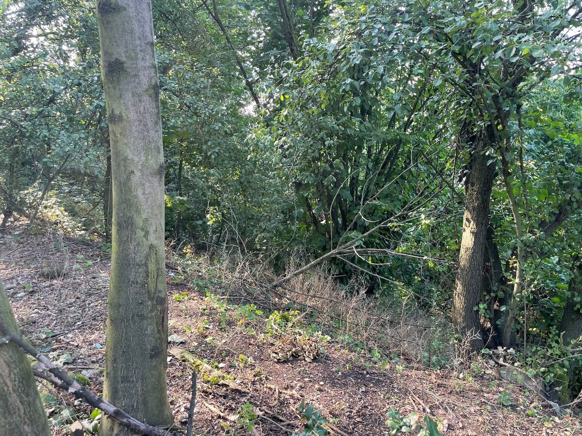 Pozemek zahrada 1100m2 - 3