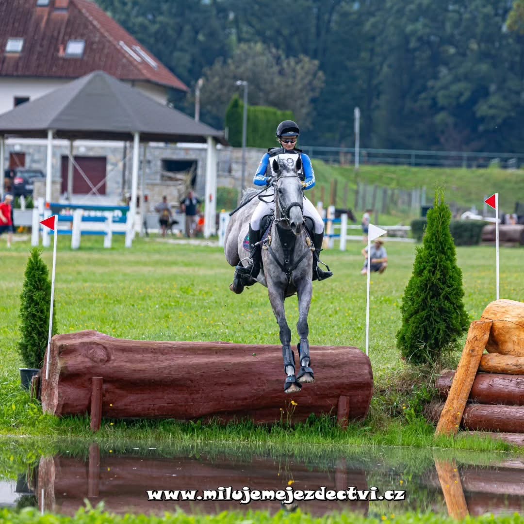 8 letá klisna do sportu - 3