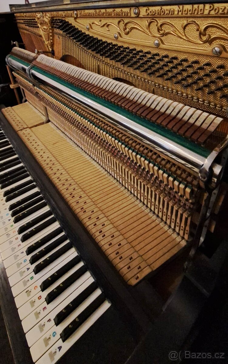 AUGUST FÖRSTER - Doprava ZDARMA Záruka 2 roky. - 3