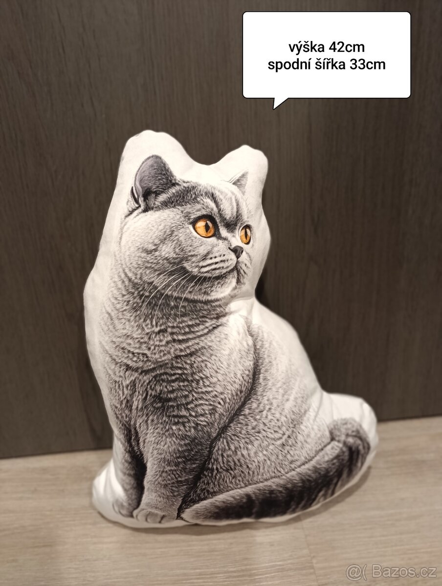 Britská kočka polštářky - 3