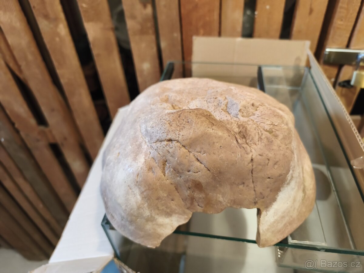 Věci do terária / akvária - 3