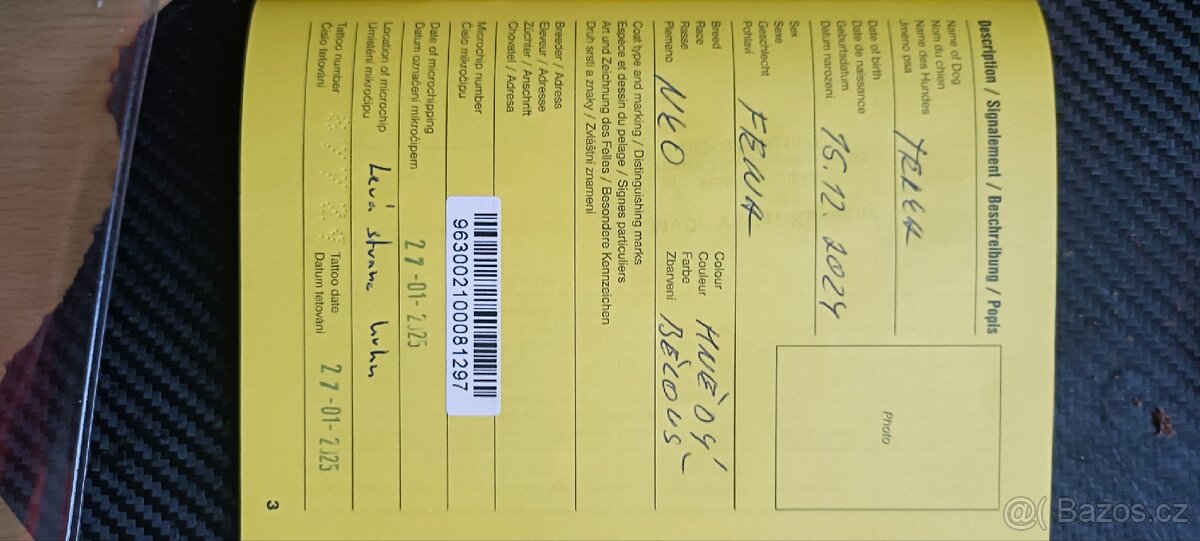 Německý ohař krátkosrstý - 3