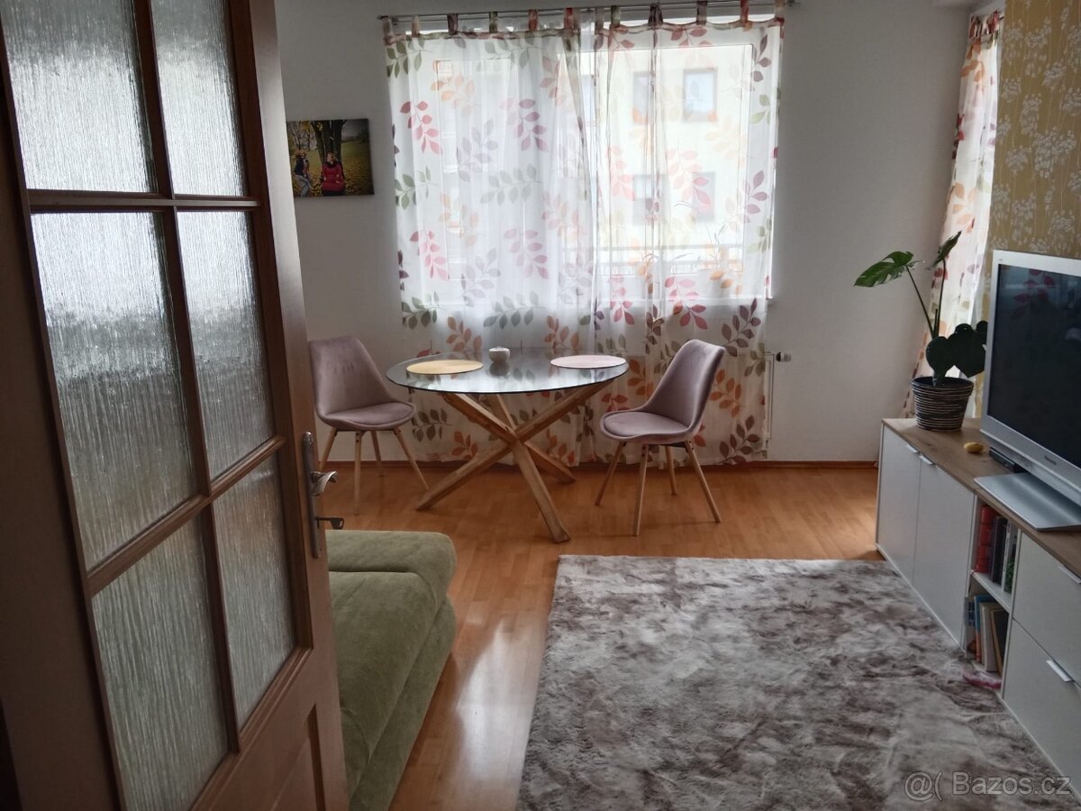 Pronajmu byt 2kk v Plzni - 3