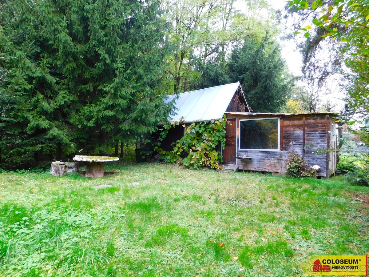 Dyje, zahrada, chatka 482 m² – pozemek, ev.č. V3288Z038 – pohled 3