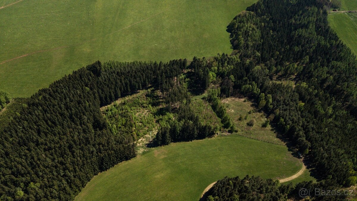 Prodej lesa 20336 m² – Heřmánkovice - 3